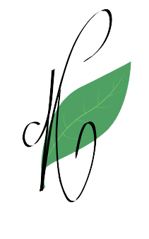 Logo de votre site